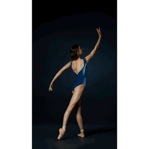 Atlantis Leotard